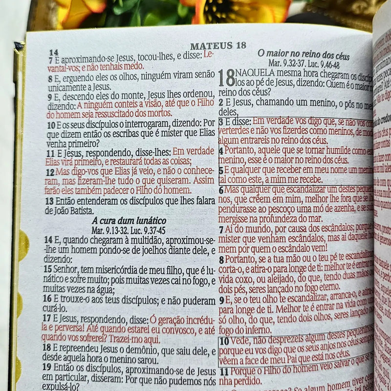 Bíblia letra média com índice - detalhe 4