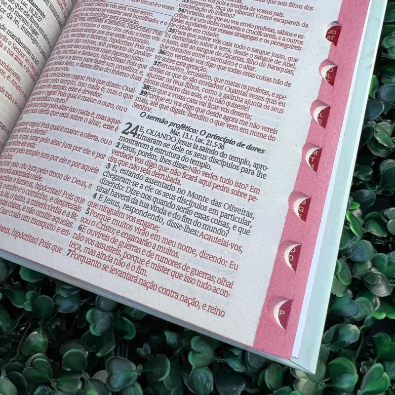 Bíblia ARC rosa com harpa - detalhe 3