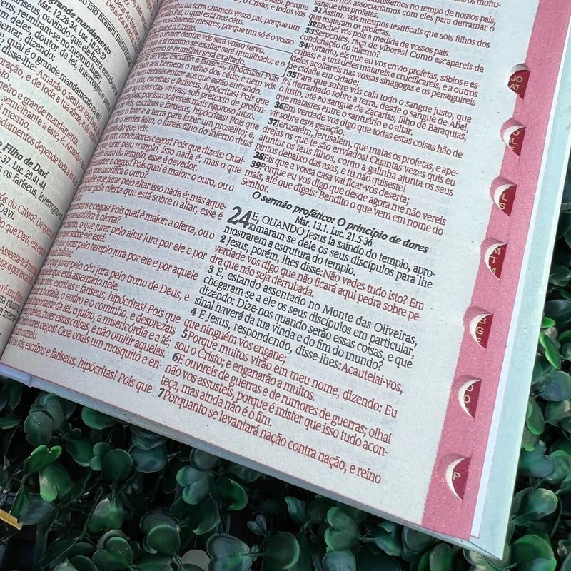 Bíblia capa dura Leão Yeshua - detalhe 4