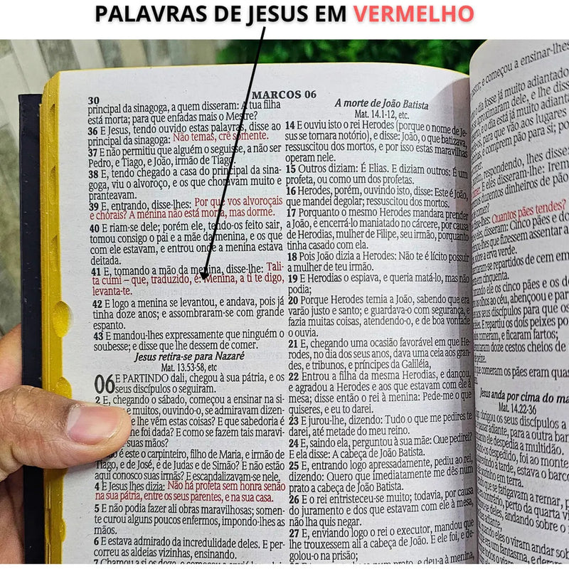 Bíblia ARC feminina prata - detalhe 7