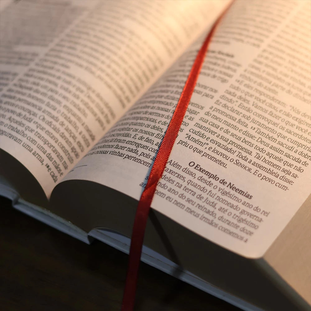 Bíblia NVI Floresça Capa Dura Letra Média - imagem 2