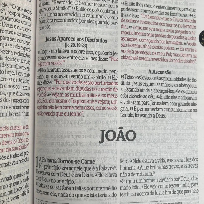 Bíblia NVI masculina leão - detalhe 2