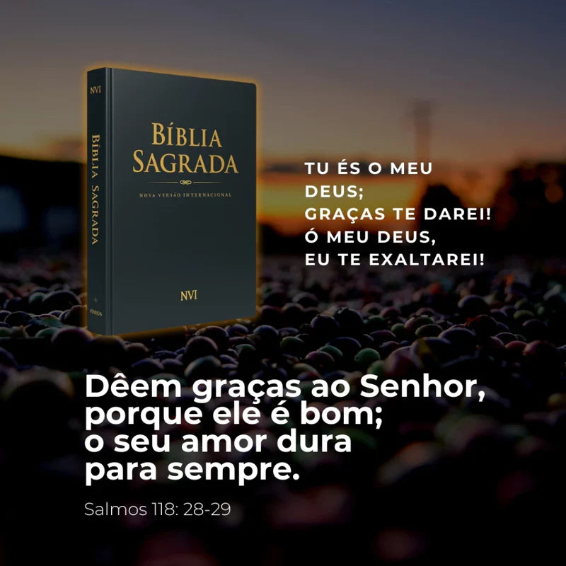 Bíblia NVI Preta Luxo Capa Dura - capa