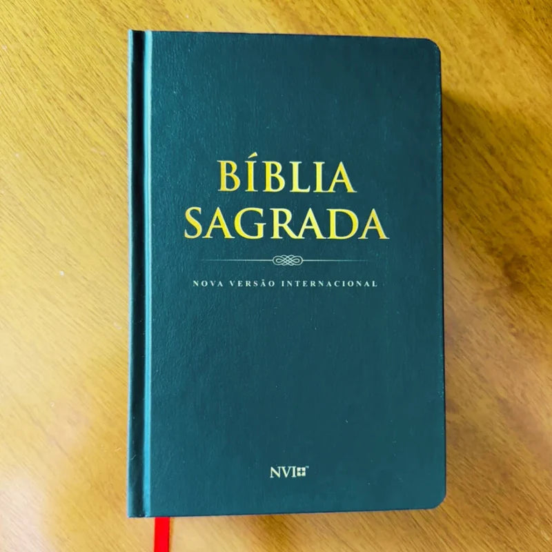 Bíblia Coração do Leão NVI preta - detalhe 5