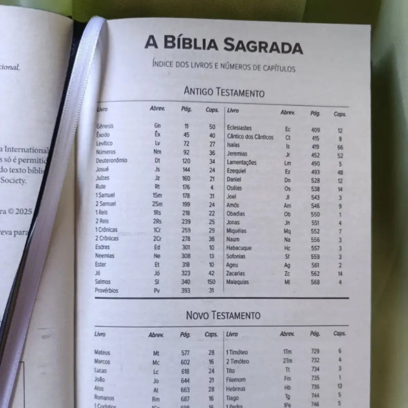 Bíblia Sagrada NVI Masculina Leão Preta antigo e novo Testamento