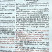 Bíblia Sagrada Com Palavras de Jesus em Vermelho