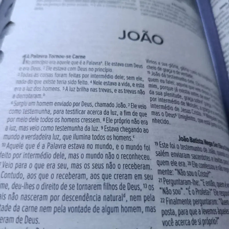 Bíblia Sagrada NVI Masculina Leão Preta Aberta