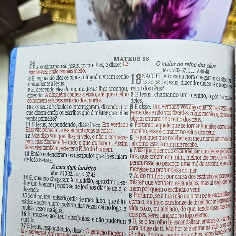 Kit casal com duas Bíblias ARC - detalhe 7
