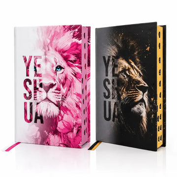 Kit 2 Bíblias ARC Feminina e Masculina - capa