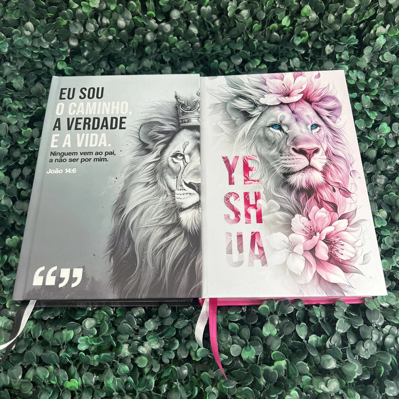 Kit presente cristão Bíblias NVI - detalhe 5