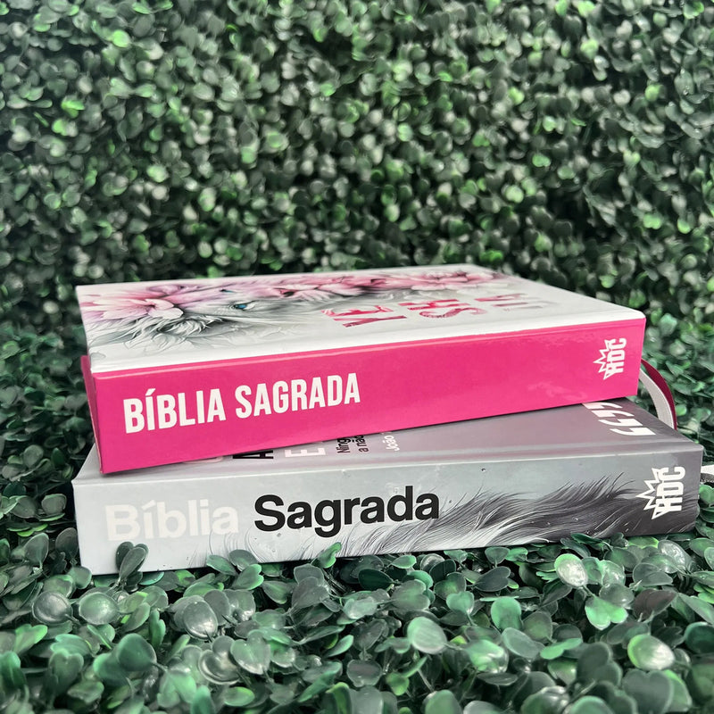 Kit NVI casal Leão - detalhe 7