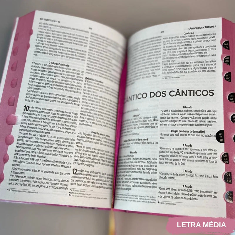 Kit Bíblias Coração do Leão NVI - detalhe 7