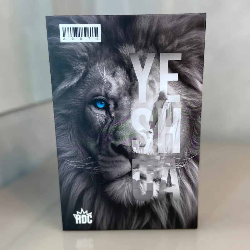 Kit com duas Bíblias NVI Yeshua - detalhe 9