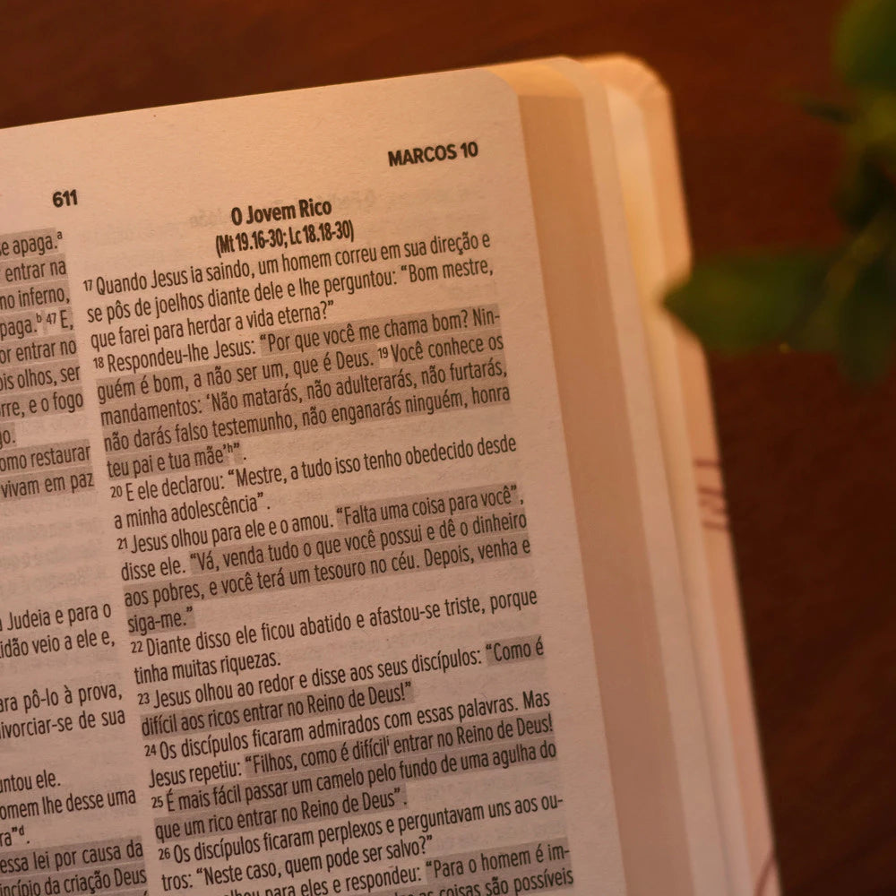 Bíblia NVI Flor Capa Dura Letra Normal - imagem 4